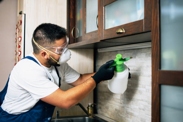 Best Residential Pest Control  in , MD