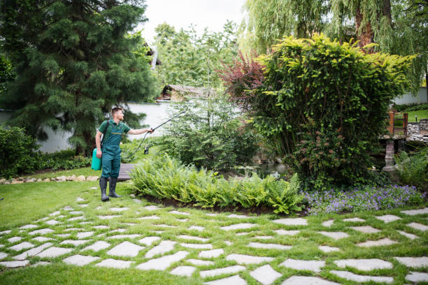 Best Affordable Pest Control Services  in , MD