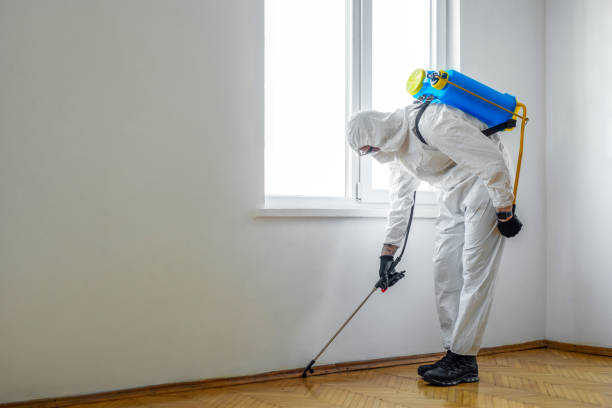 Best Pest Control Near Me  in , MD