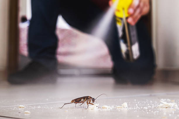 Best Bed Bug Extermination  in , MD