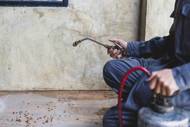 Best Best Pest Control Companies  in , MD